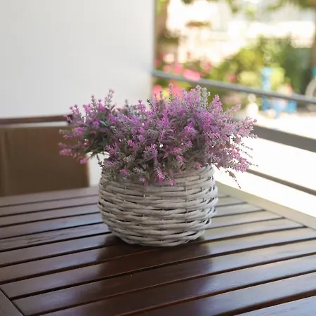 The Kitehouse Apartament *