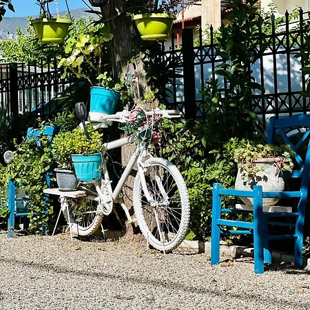 The Kitehouse * Ελαιώνας