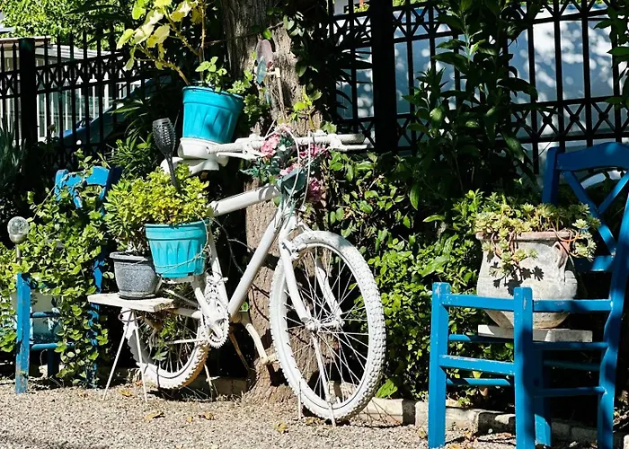 The Kitehouse * Ελαιώνας